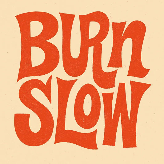 Example output from the Disruptive Wordmark Logos ChatGPT prompt: rebellious wordmark logos with chaotic lettering, featuring grainy textures, custom color fills, asymmetric layout, and punk-style zine aesthetics. Burn Slow.