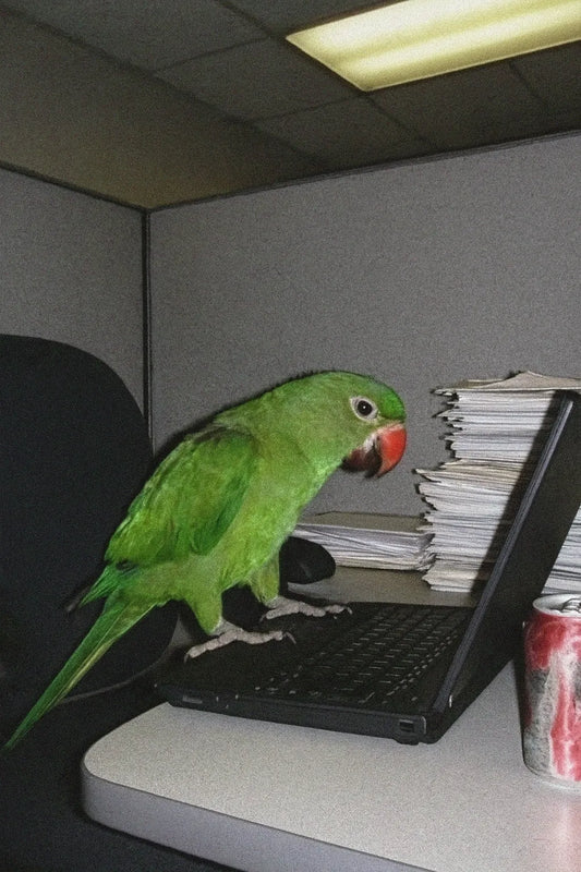 Example output from the Low Quality Smartphone Photo Scenes ChatGPT prompt: Parrot