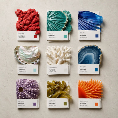 Example output from the Editorial Pantone Fragment Grids ChatGPT prompt: a Pantone-style color grid themed 'Ocean Life', with swatches made from real shell, coral and agate fragments, printed color chips and Swiss-style labels on a neutral background.