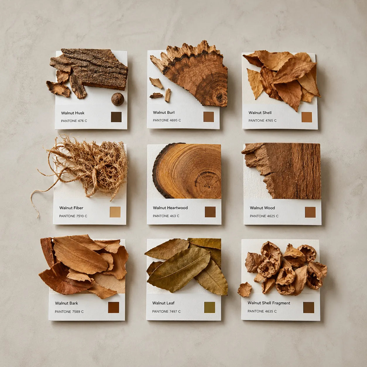 Example output from the Editorial Pantone Fragment Grids ChatGPT prompt: a Pantone-style color grid themed 'Walnuts', with swatches made from real walnut shell, wood and husk fragments, printed color chips and Swiss-style labels on a neutral background.